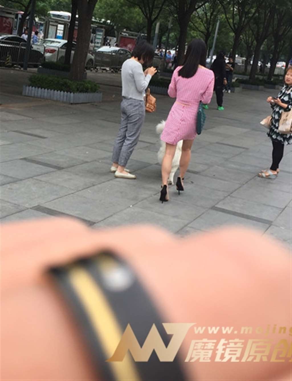 图片[3]-【红石赛帖】路边遛狗的长腿美女2-街拍流行馆