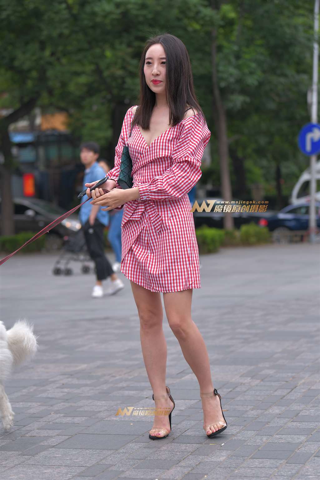 图片[5]-【红石赛帖】路边遛狗的长腿美女2-街拍流行馆