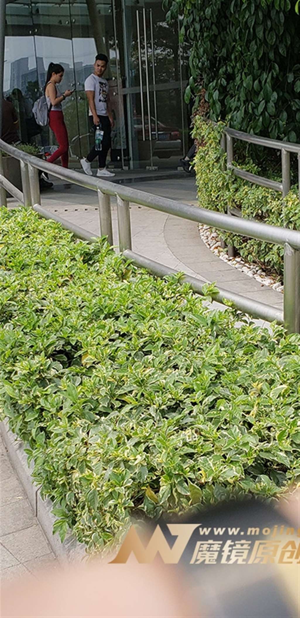 图片[3]-【凯恩赛帖】养眼的性感健身裤-街拍流行馆