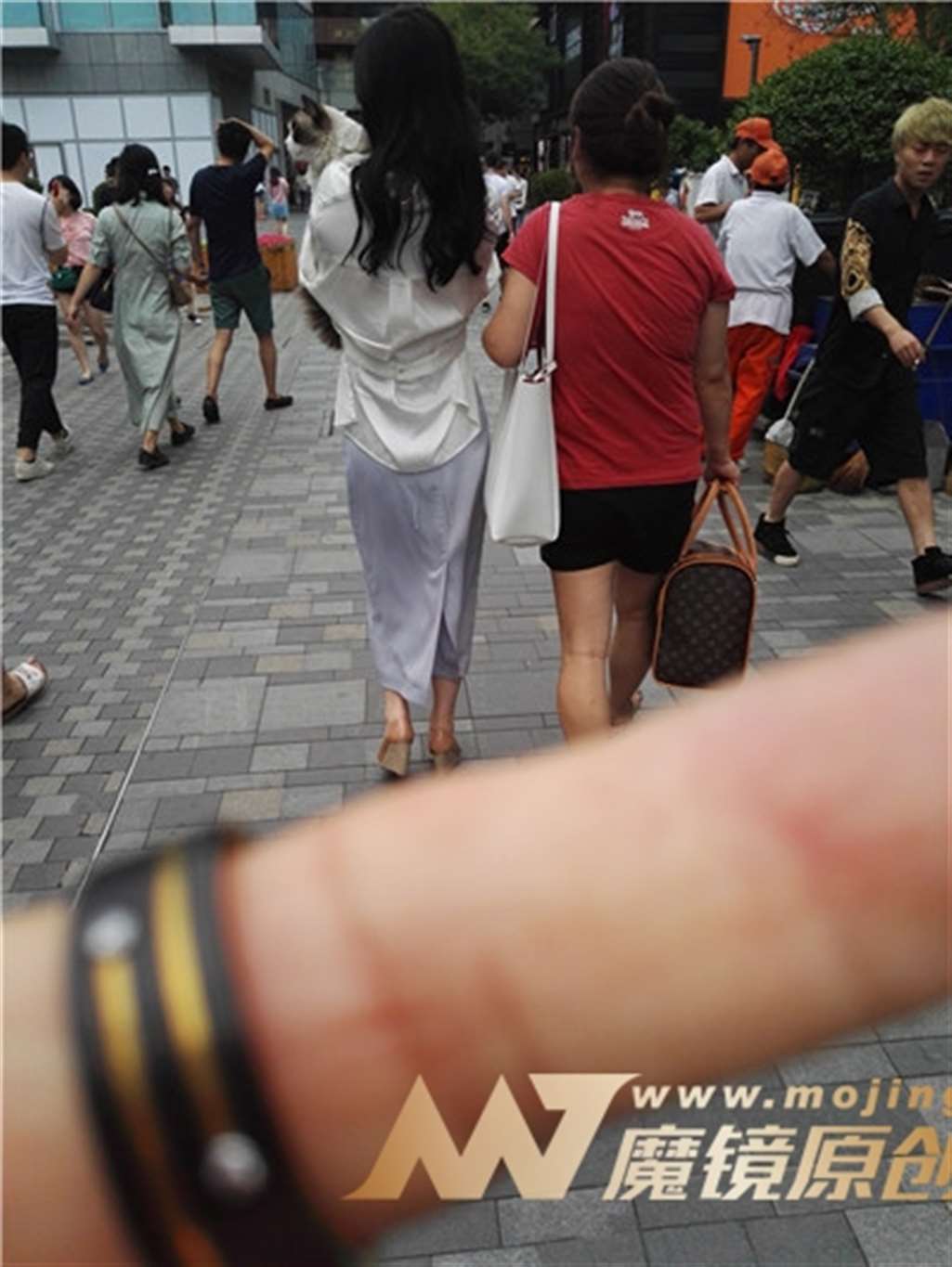图片[3]-左手倒影赛帖：大气唯美的美女与她可爱的宠猫猫-街拍流行馆