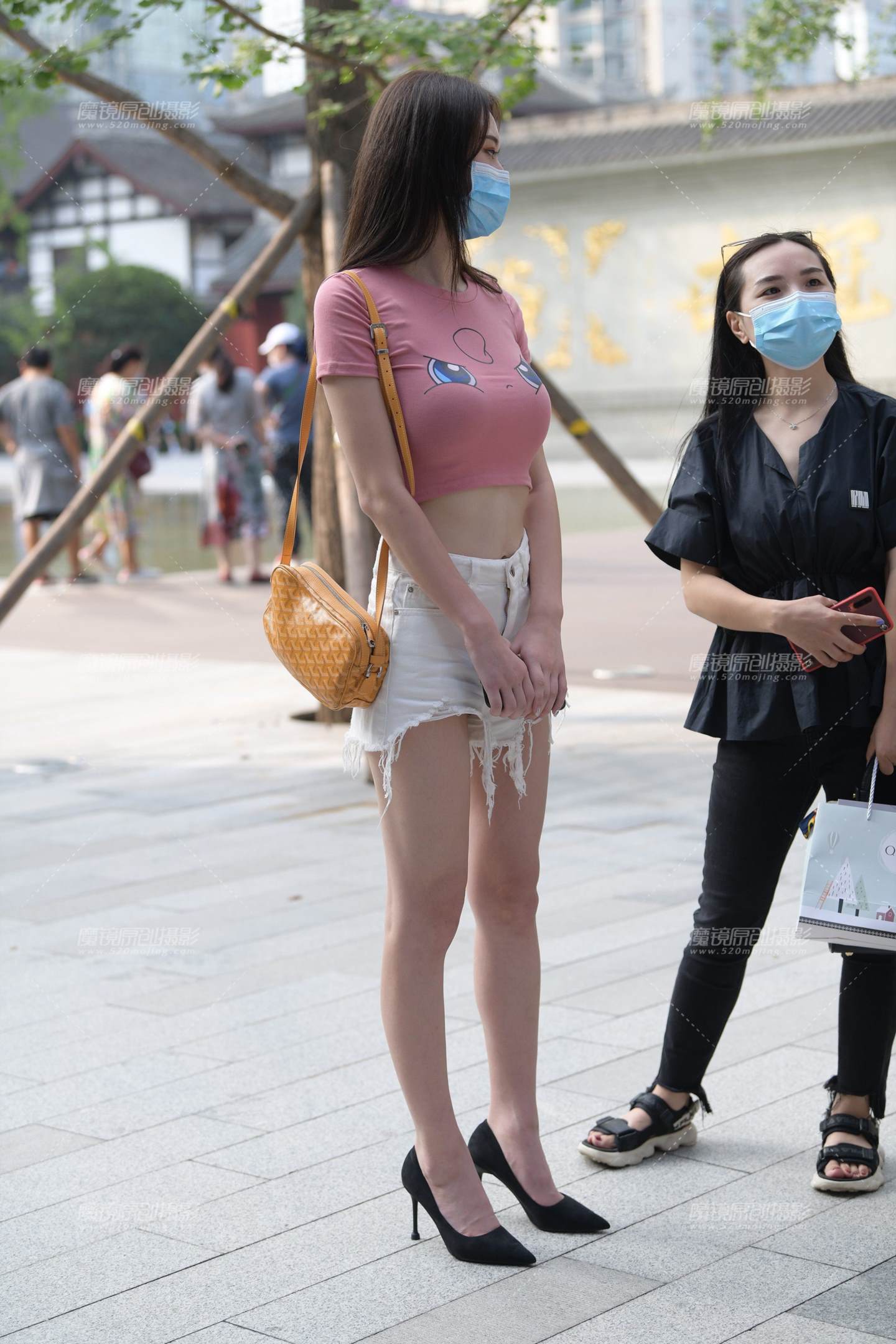 丰满可爱的小猫咪-流行馆